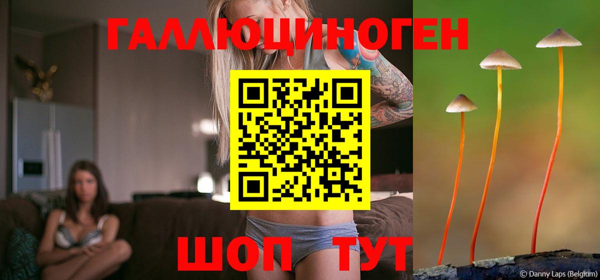 Конаково  Галлюциногенные грибы мицелий  Вход с VPN 